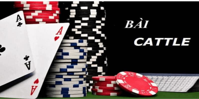 Giới thiệu tổng quan về bài catte 6 lá tại Go88
